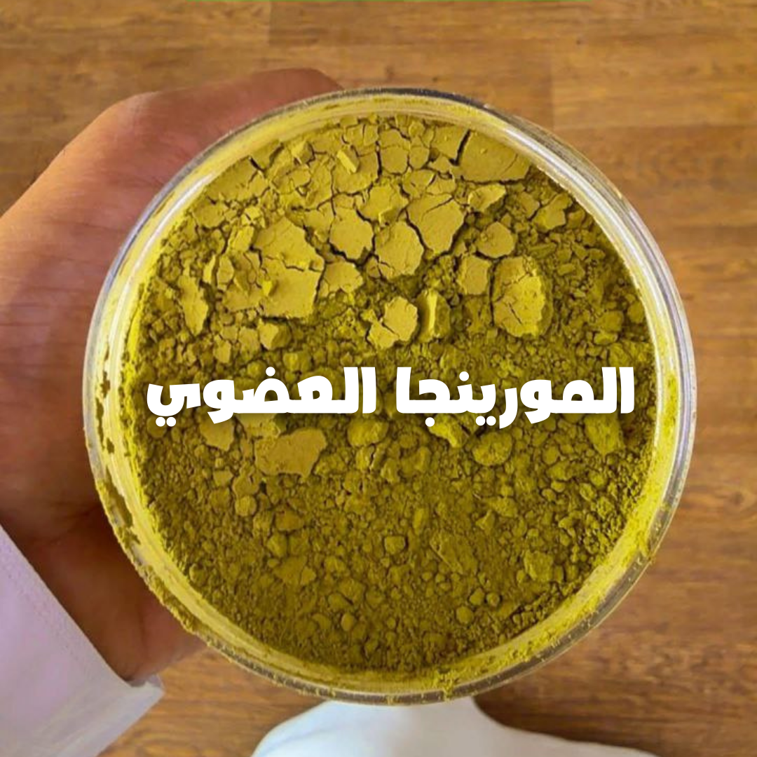 مسحوق المورينجا العضوي عالي الجودة organic moringa powder