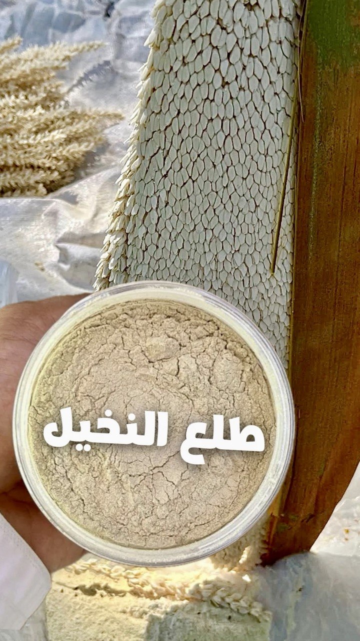 تمر مجدول فاخر مع طلع النخل