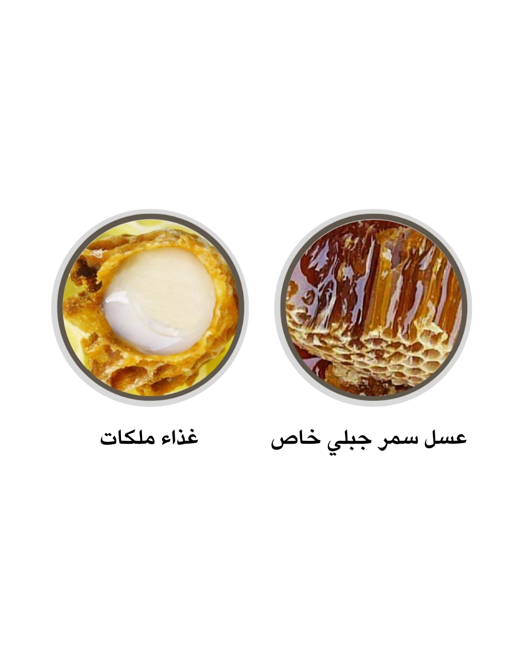 عسل سمر جبلي مشبع بغذاء الملكات استرالي