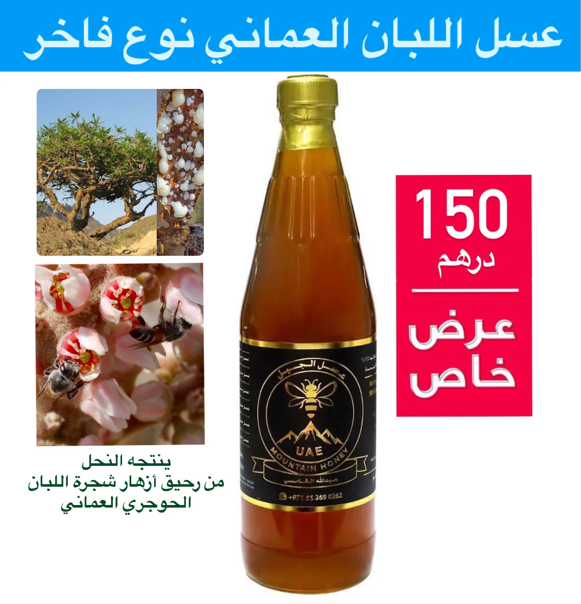 عسل اللبان العماني نوع فاخر