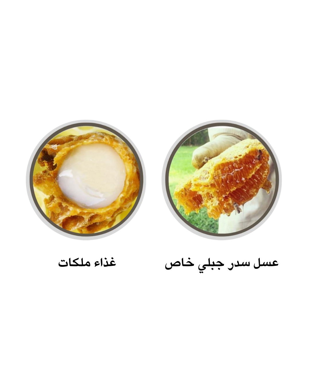 عسل السدر الملكي الخاص مشبع بغذاء الملكات