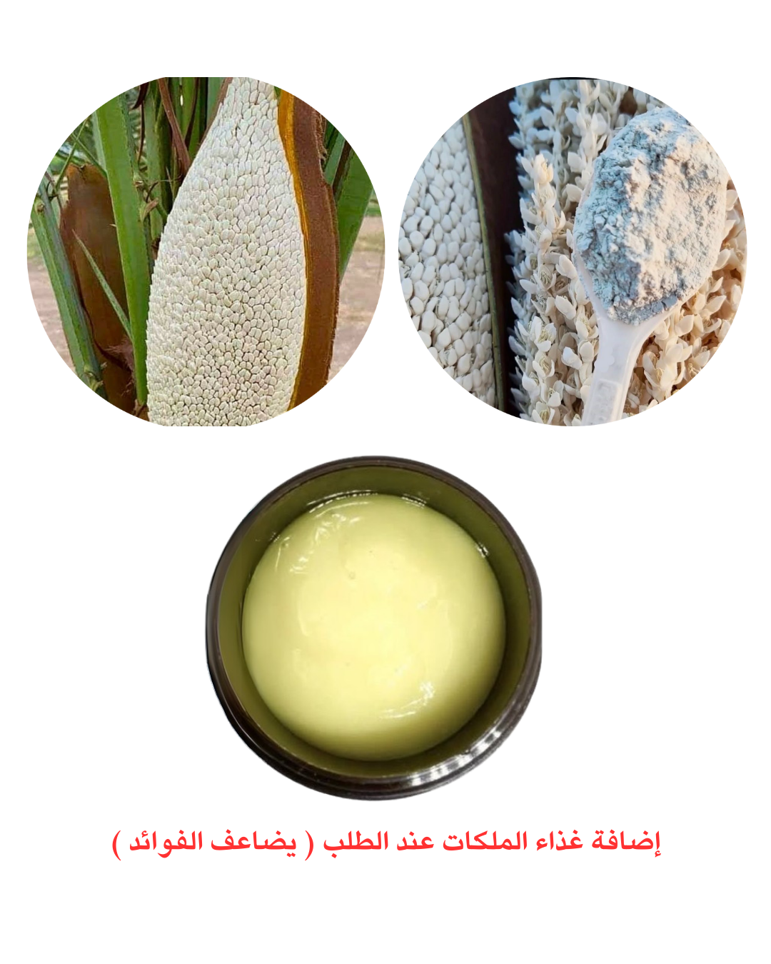 عسل سدر جبلي مشبع ب ( طلع النخل )