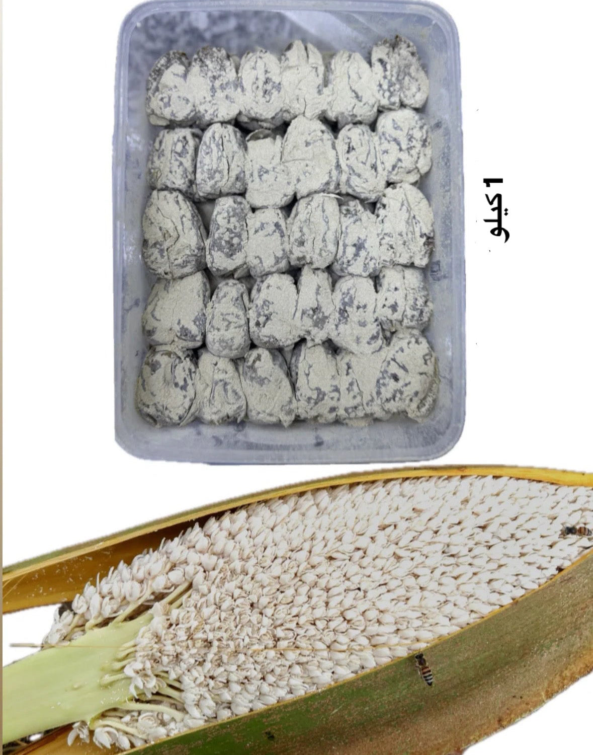 تمر فاخر مع طلع النخل الوزن 1 كيلو