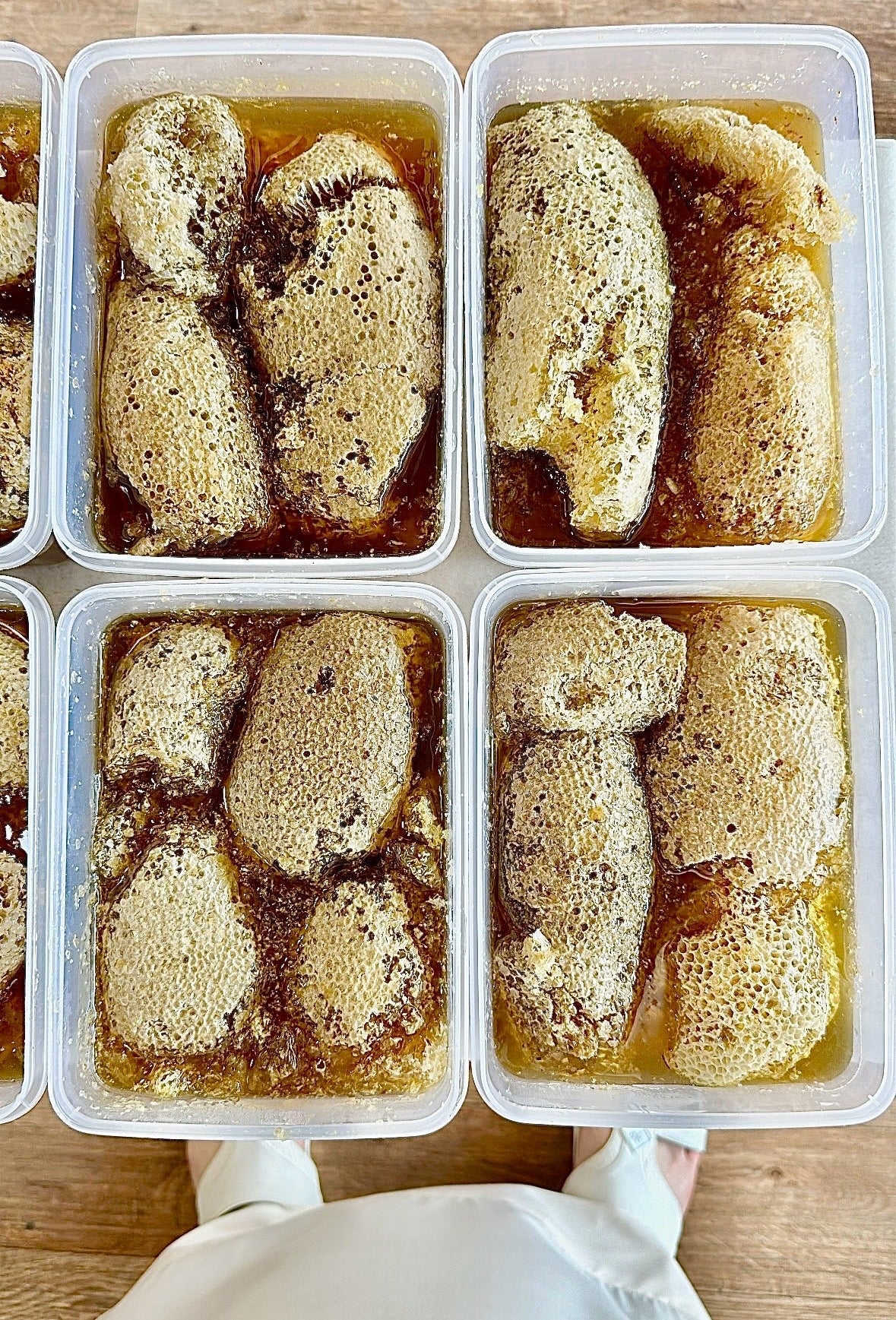 شمع عسل السدر النحل الحر العماني بدون تدخل الإنسان العلبه فيها 1 كيلو و نص