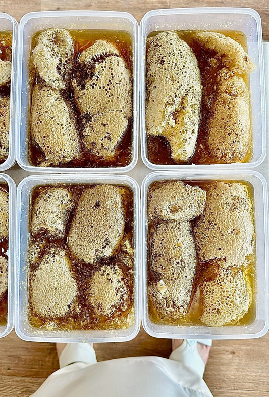 شمع عسل السدر النحل الحر العماني بدون تدخل الإنسان العلبه فيها 1 كيلو و نص